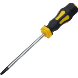 Cacciavite Torx T20x100 mm